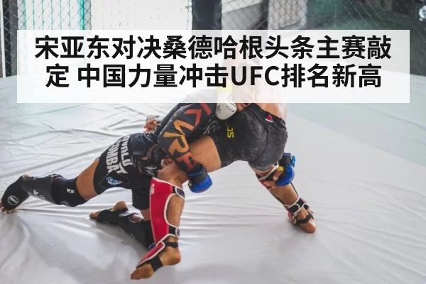 MMA wrestling training
