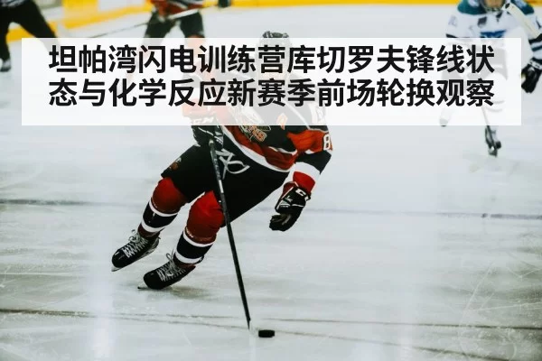 hockey player skating